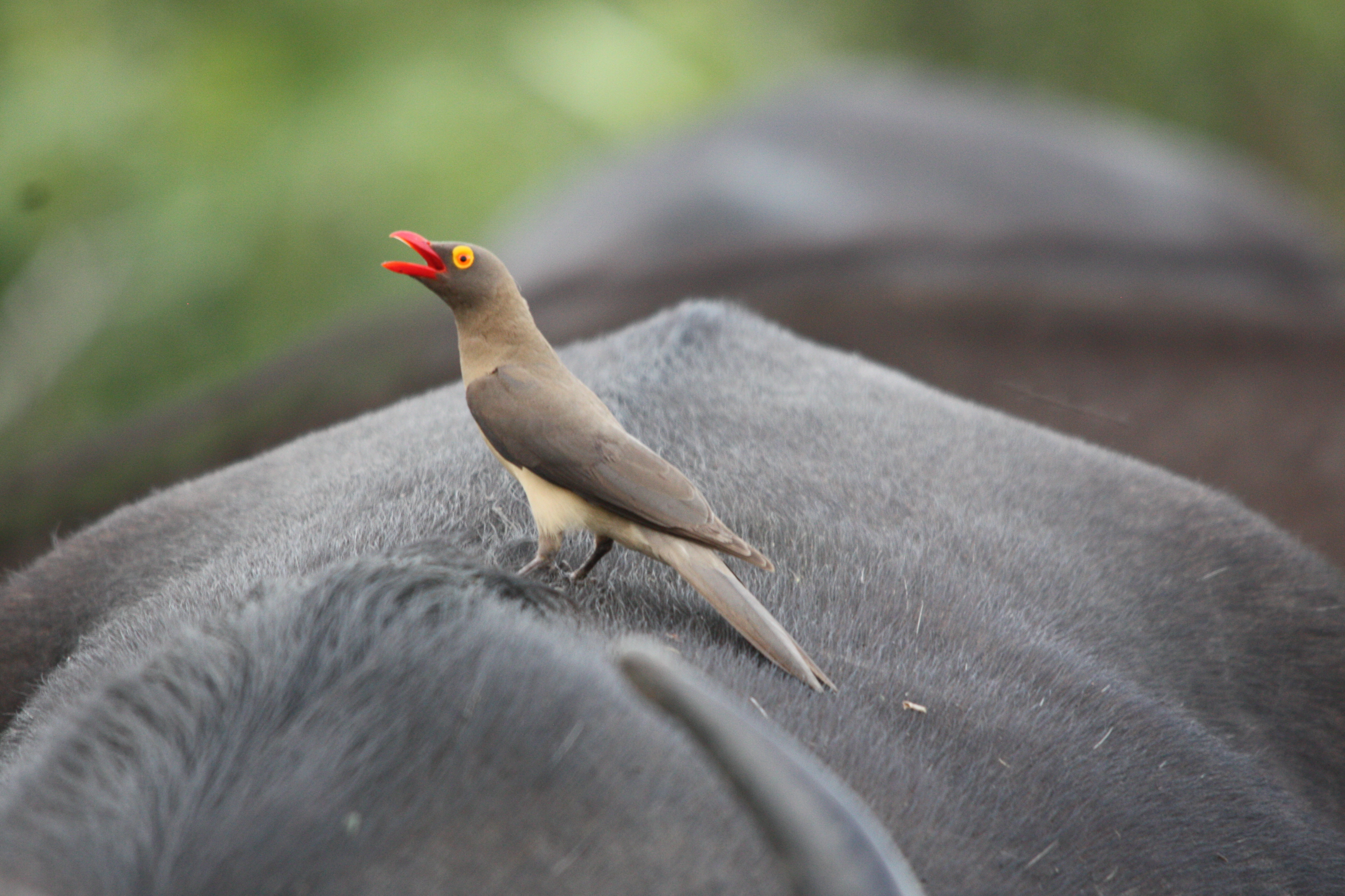 6ab6854b420663987ff41ebcf3e3dce7