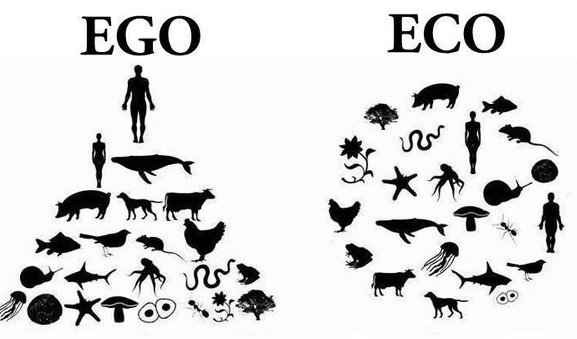 Screen Shot 2018-02-27 at 8.40.21 pm