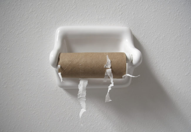 The Great Toilet Paper Run of 2020