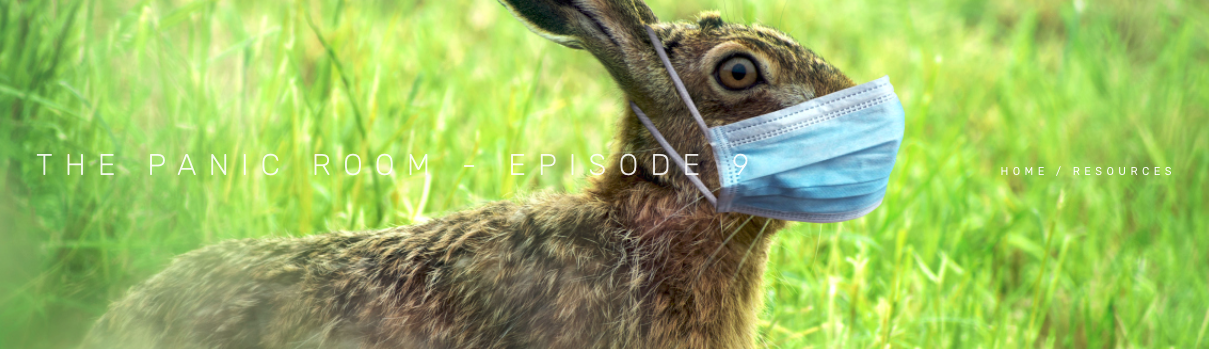 The Panic Room Ep 9: Breaking News – Easter Bunny Self-Isolating