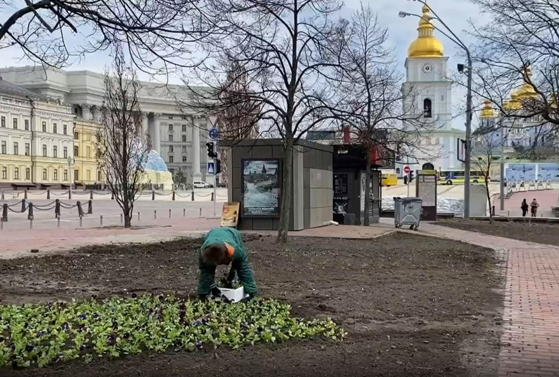 Planting Flowers in Wartime