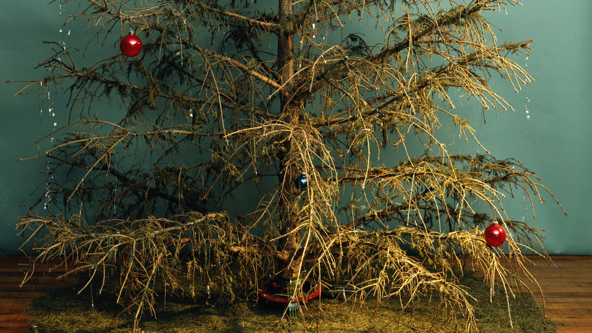 Hey Churches: Make Sure You Have Christmas Songs For All Year Round.